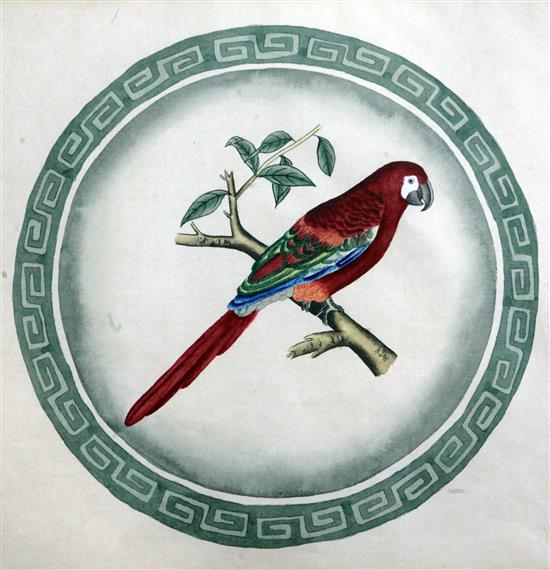 A pair of watercolour plate designs depicting parrots